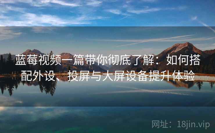 蓝莓视频一篇带你彻底了解：如何搭配外设、投屏与大屏设备提升体验