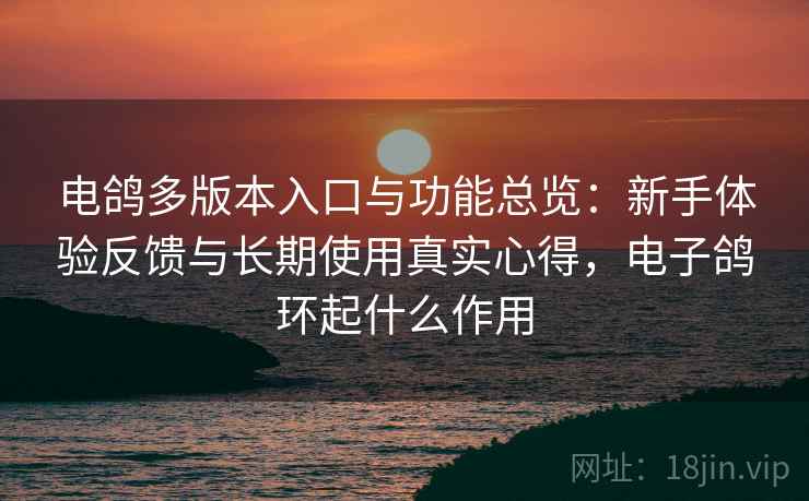 电鸽多版本入口与功能总览:新手体验反馈与长期使用真实心得,电子鸽环起什么作用 电鸽多版本入口与功能总览:新手体验反馈与长期使用真实心得,电子鸽环起什么作用