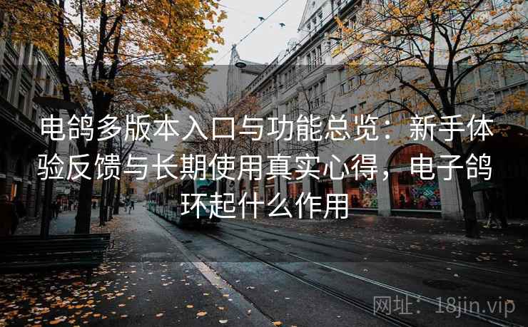 电鸽多版本入口与功能总览:新手体验反馈与长期使用真实心得,电子鸽环起什么作用 电鸽多版本入口与功能总览:新手体验反馈与长期使用真实心得,电子鸽环起什么作用