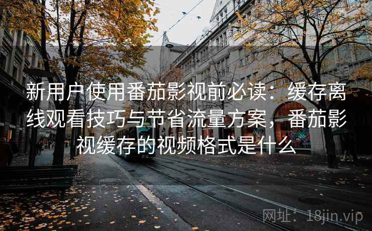新用户使用番茄影视前必读:缓存离线观看技巧与节省流量方案,番茄影视缓存的视频格式是什么 新用户使用番茄影视前必读:缓存离线观看技巧与节省流量方案,番茄影视缓存的视频格式是什么