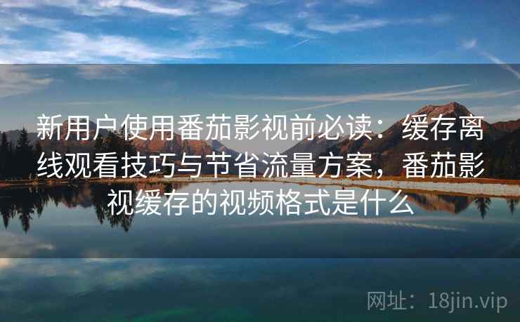 新用户使用番茄影视前必读:缓存离线观看技巧与节省流量方案,番茄影视缓存的视频格式是什么 新用户使用番茄影视前必读:缓存离线观看技巧与节省流量方案,番茄影视缓存的视频格式是什么
