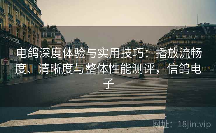 电鸽深度体验与实用技巧:播放流畅度、清晰度与整体性能测评,信鸽电子 电鸽深度体验与实用技巧:播放流畅度、清晰度与整体性能测评,信鸽电子
