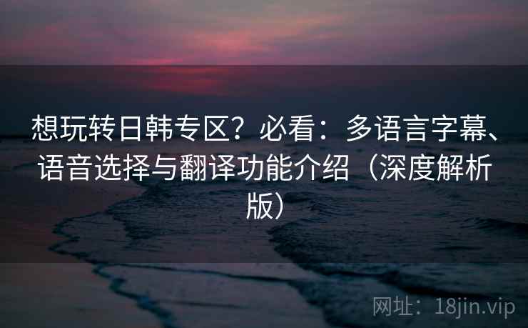 想玩转日韩专区?必看:多语言字幕、语音选择与翻译功能介绍(深度解析版) 想玩转日韩专区?必看:多语言字幕、语音选择与翻译功能介绍(深度解析版)
