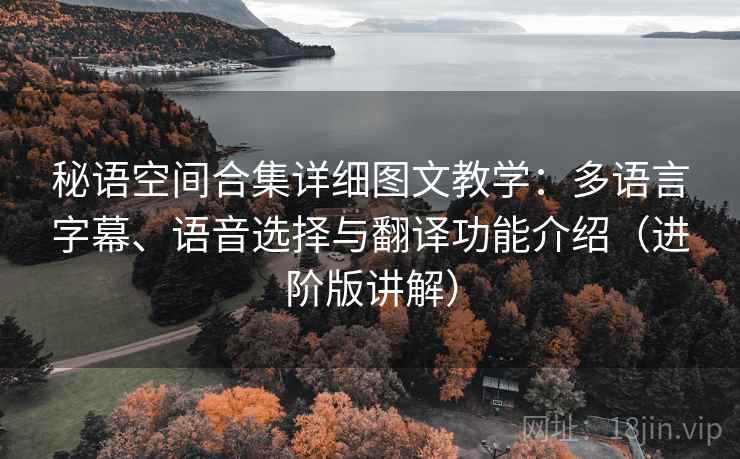 秘语空间合集详细图文教学:多语言字幕、语音选择与翻译功能介绍(进阶版讲解) 秘语空间合集详细图文教学:多语言字幕、语音选择与翻译功能介绍(进阶版讲解)